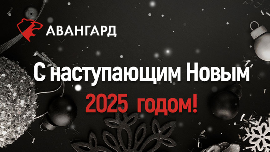 С новым 2025 годом!